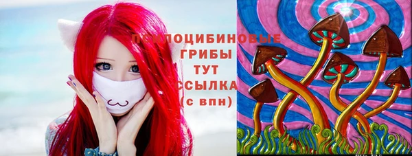 PSILOCYBIN Абаза