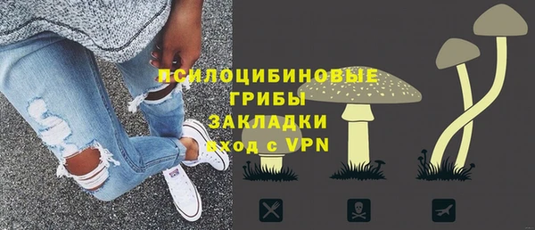 2c-b Алзамай